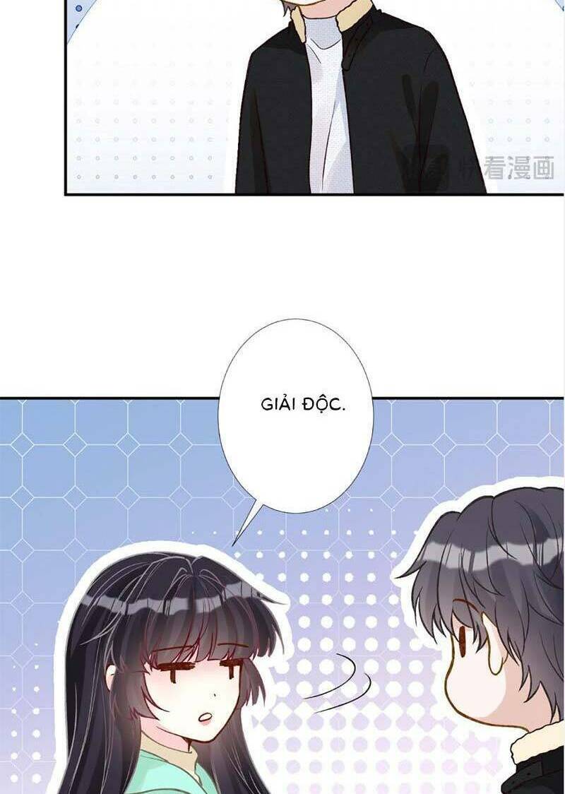 Ôm Khẩn Tiểu Mã Giáp Của Tôi Chapter 265 - Trang 2