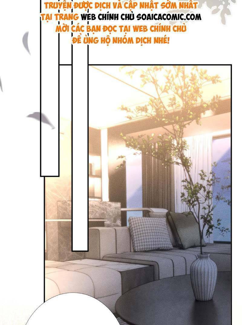 Ôm Khẩn Tiểu Mã Giáp Của Tôi Chapter 265 - Trang 2