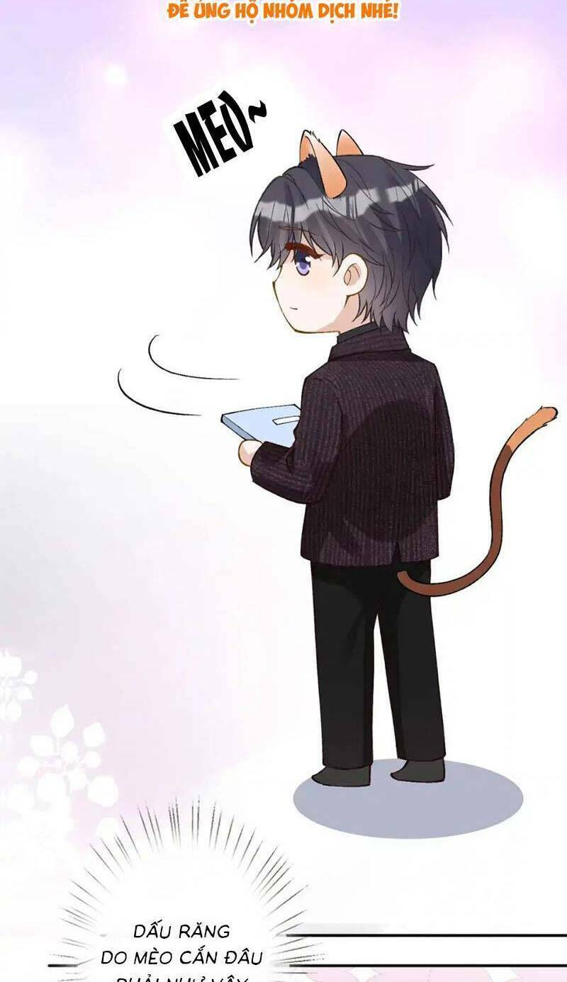 Ôm Khẩn Tiểu Mã Giáp Của Tôi Chapter 267 - Trang 2