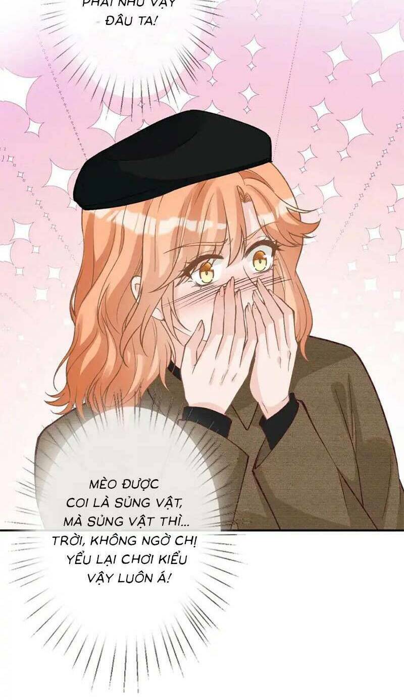 Ôm Khẩn Tiểu Mã Giáp Của Tôi Chapter 267 - Trang 2