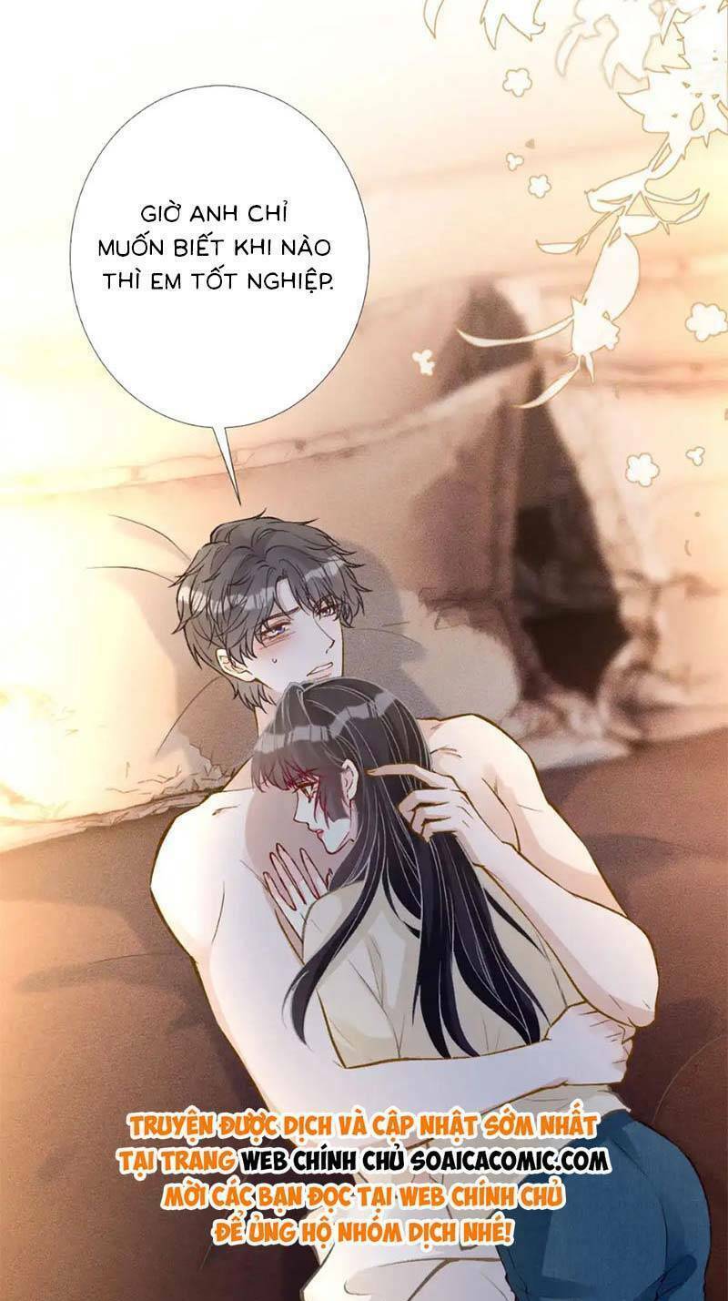 Ôm Khẩn Tiểu Mã Giáp Của Tôi Chapter 267 - Trang 2