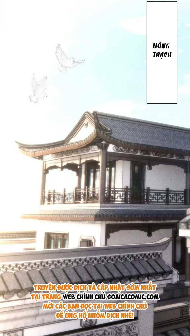 Ôm Khẩn Tiểu Mã Giáp Của Tôi Chapter 269 - Trang 2