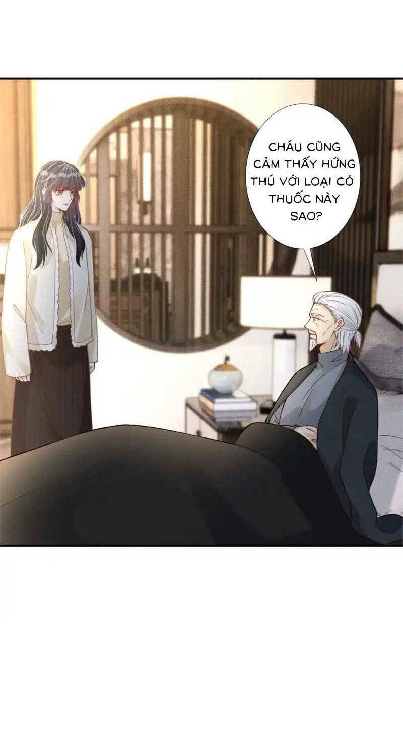 Ôm Khẩn Tiểu Mã Giáp Của Tôi Chapter 269 - Trang 2