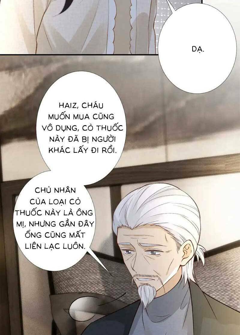 Ôm Khẩn Tiểu Mã Giáp Của Tôi Chapter 269 - Trang 2