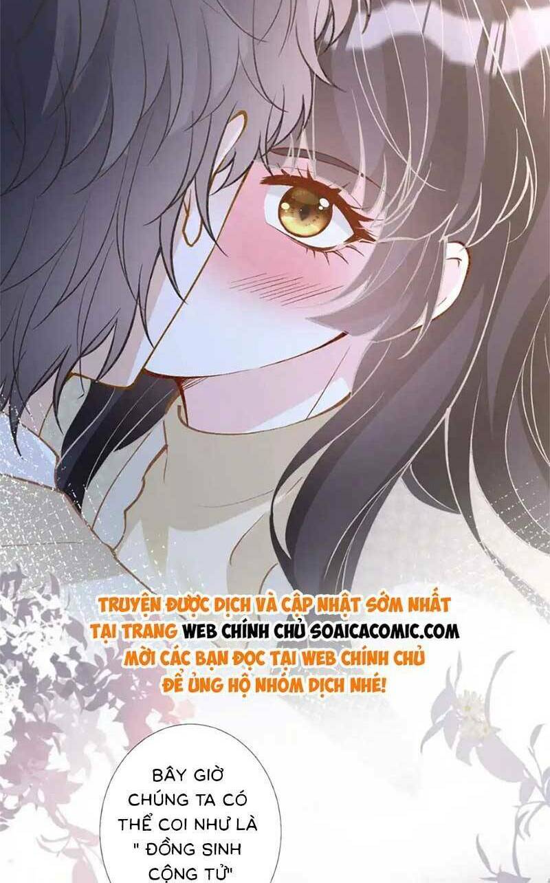 Ôm Khẩn Tiểu Mã Giáp Của Tôi Chapter 270 - Trang 2