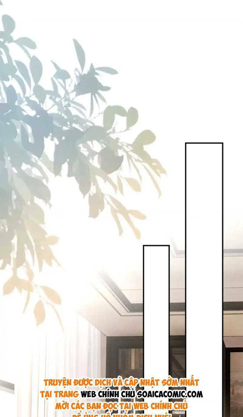 Ôm Khẩn Tiểu Mã Giáp Của Tôi Chapter 270 - Trang 2