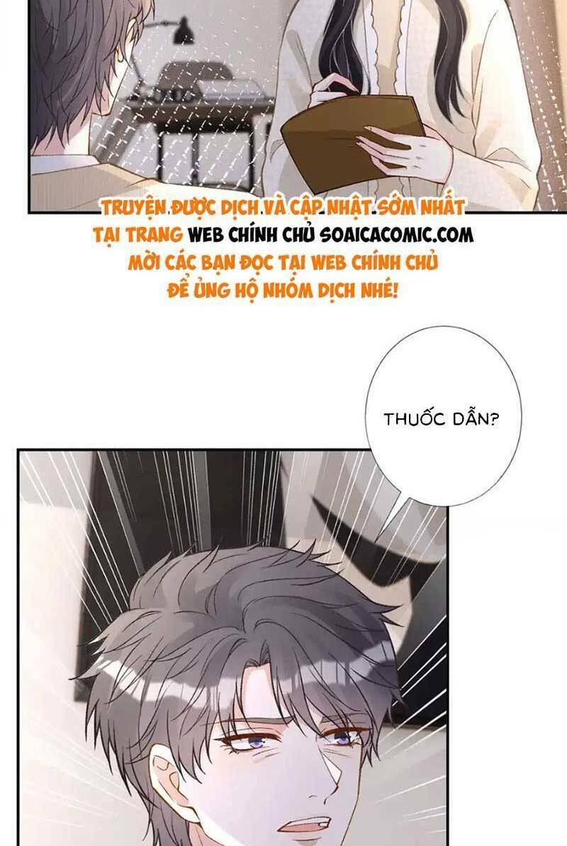 Ôm Khẩn Tiểu Mã Giáp Của Tôi Chapter 270 - Trang 2