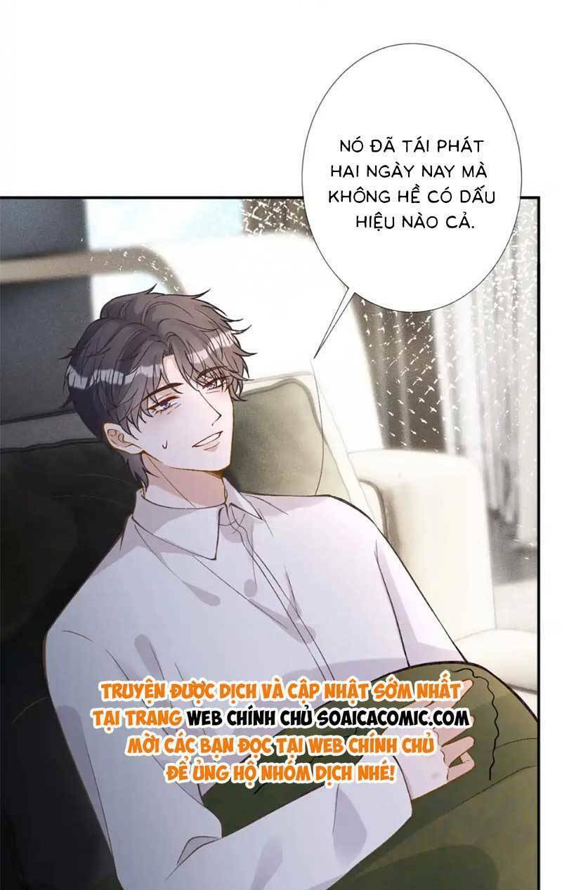 Ôm Khẩn Tiểu Mã Giáp Của Tôi Chapter 270 - Trang 2