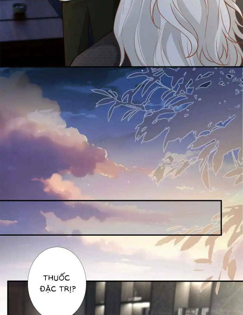 Ôm Khẩn Tiểu Mã Giáp Của Tôi Chapter 271 - Trang 2