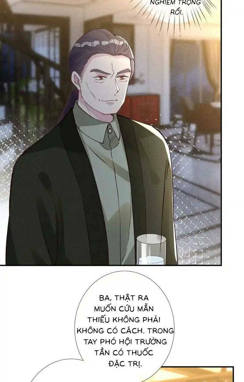 Ôm Khẩn Tiểu Mã Giáp Của Tôi Chapter 271 - Trang 2