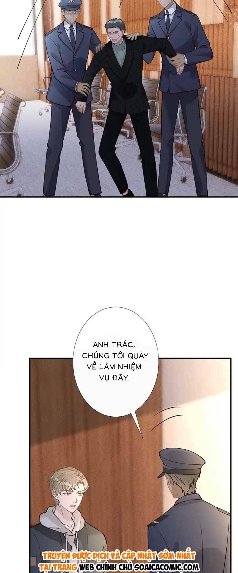 Ôm Khẩn Tiểu Mã Giáp Của Tôi Chapter 273 - Trang 2