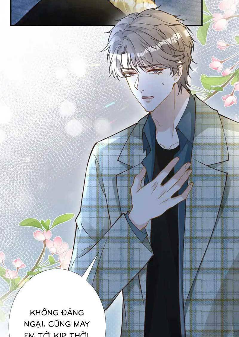 Ôm Khẩn Tiểu Mã Giáp Của Tôi Chapter 277 - Trang 2