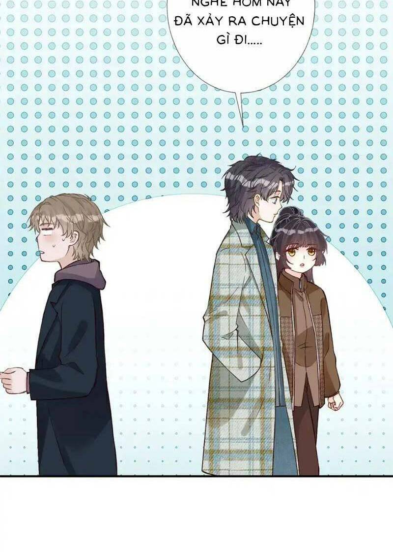 Ôm Khẩn Tiểu Mã Giáp Của Tôi Chapter 278 - Trang 2