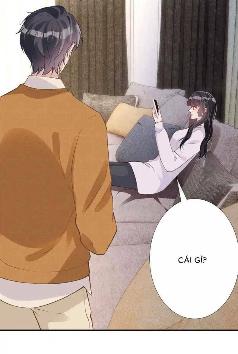 Ôm Khẩn Tiểu Mã Giáp Của Tôi Chapter 279 - Trang 2