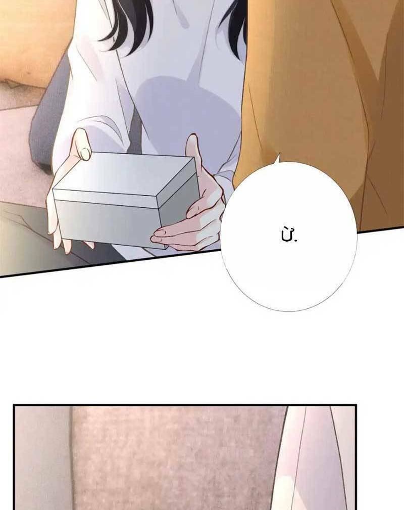 Ôm Khẩn Tiểu Mã Giáp Của Tôi Chapter 279 - Trang 2