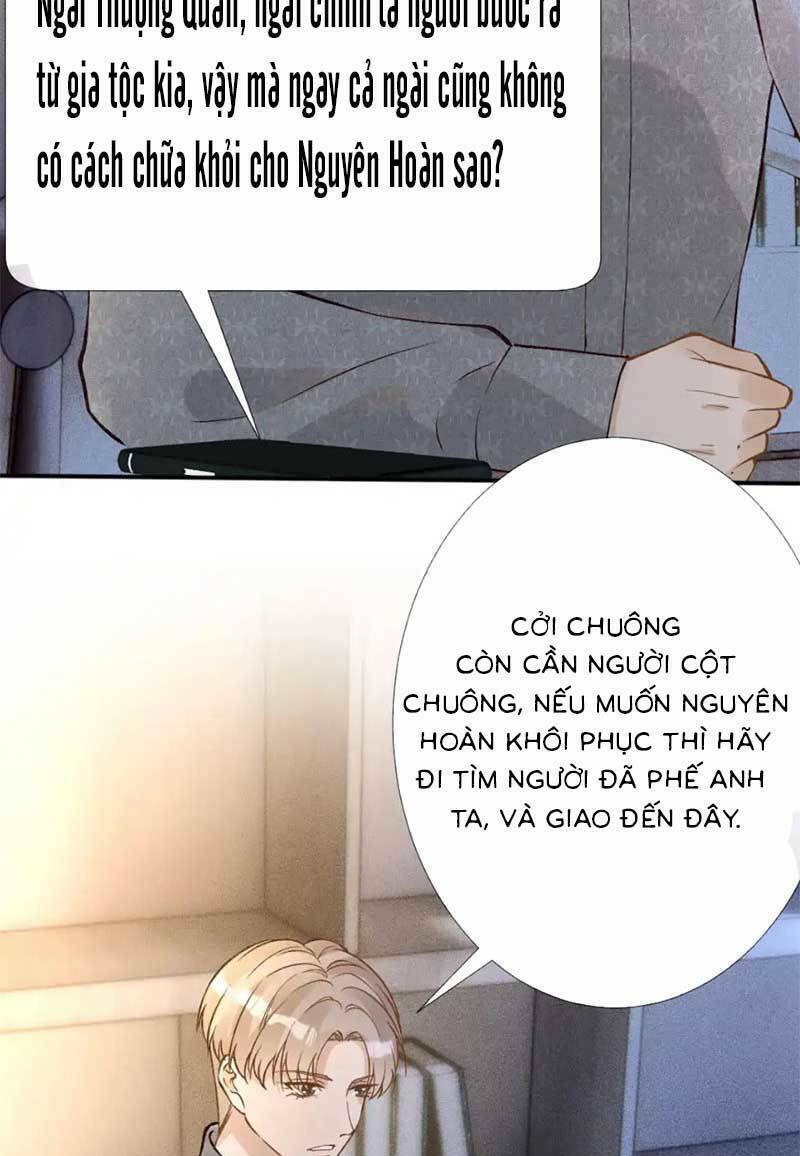 Ôm Khẩn Tiểu Mã Giáp Của Tôi Chapter 279 - Trang 2