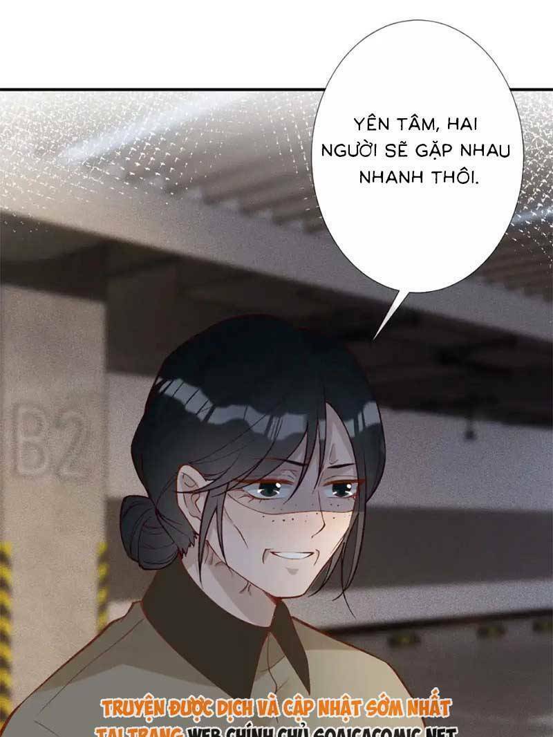 Ôm Khẩn Tiểu Mã Giáp Của Tôi Chapter 281 - Trang 2