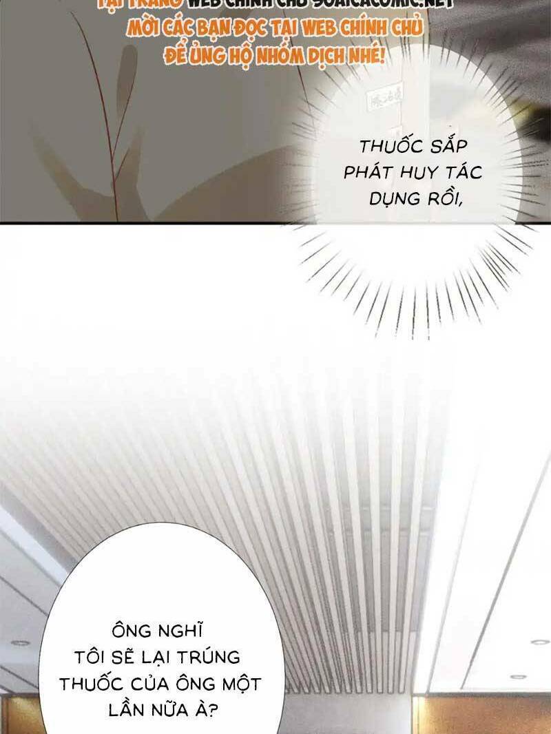 Ôm Khẩn Tiểu Mã Giáp Của Tôi Chapter 281 - Trang 2