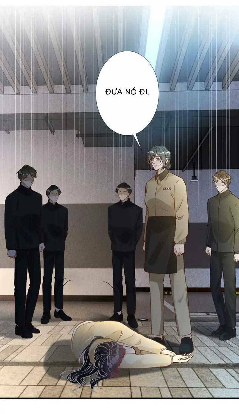 Ôm Khẩn Tiểu Mã Giáp Của Tôi Chapter 281 - Trang 2