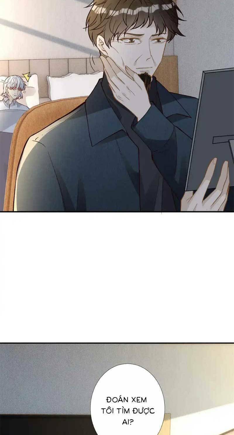 Ôm Khẩn Tiểu Mã Giáp Của Tôi Chapter 281 - Trang 2