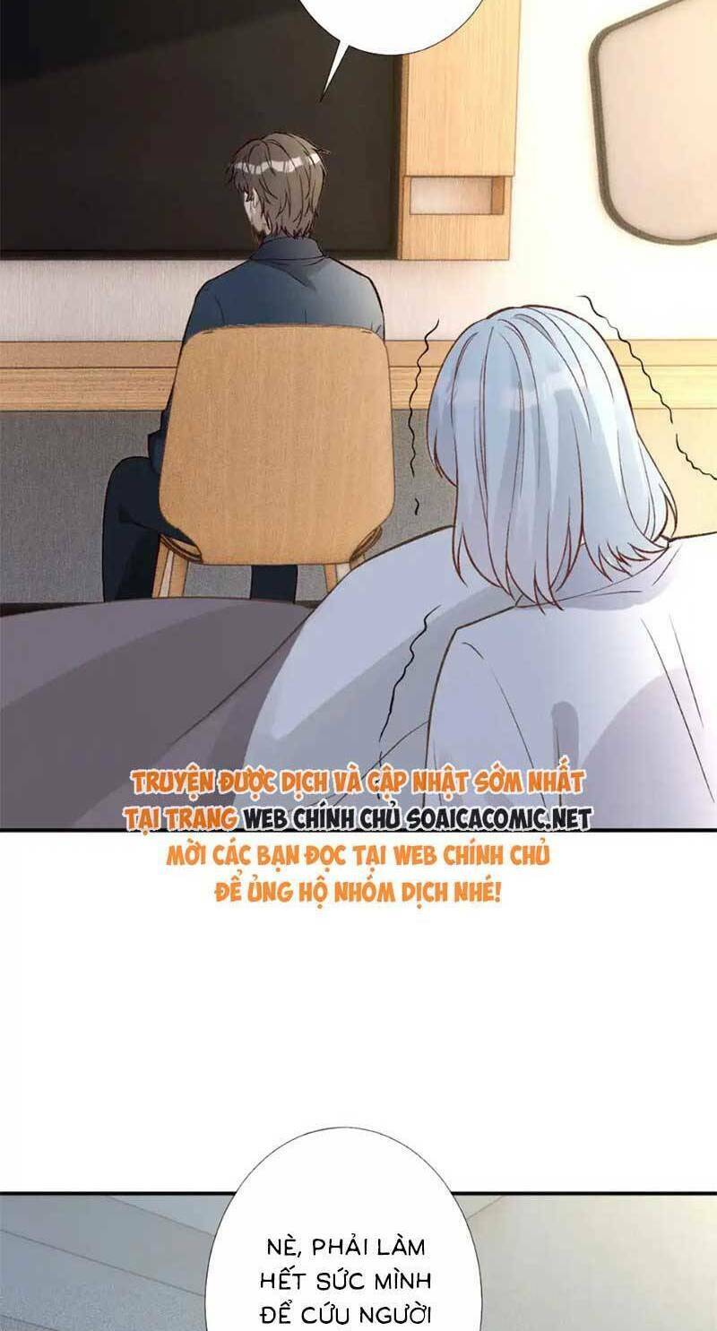 Ôm Khẩn Tiểu Mã Giáp Của Tôi Chapter 281 - Trang 2