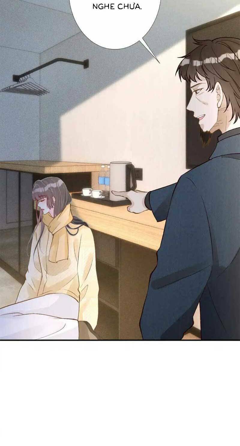 Ôm Khẩn Tiểu Mã Giáp Của Tôi Chapter 281 - Trang 2