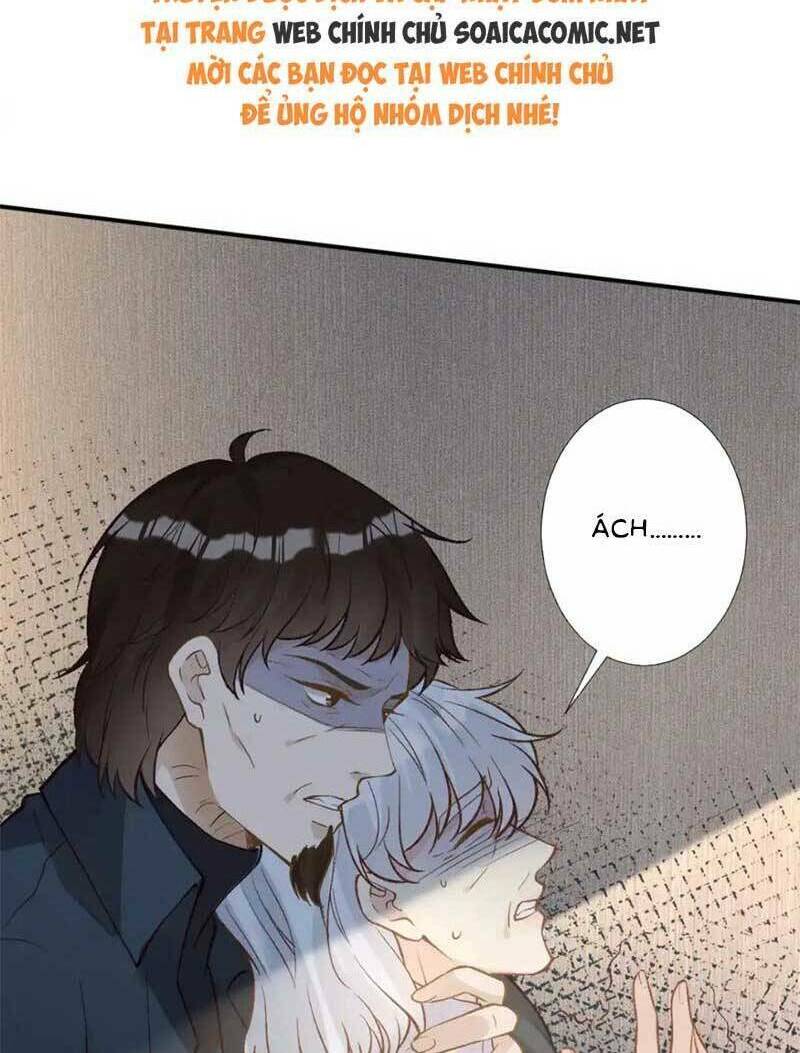 Ôm Khẩn Tiểu Mã Giáp Của Tôi Chapter 282 - Trang 2