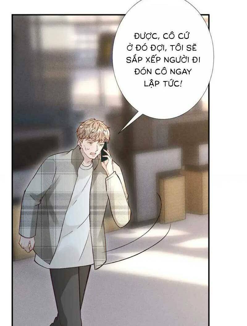 Ôm Khẩn Tiểu Mã Giáp Của Tôi Chapter 282 - Trang 2
