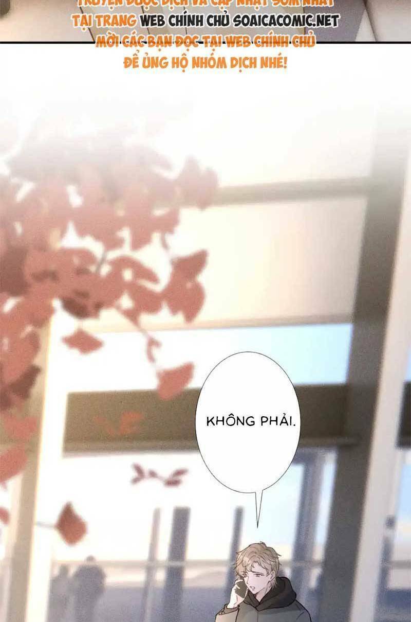 Ôm Khẩn Tiểu Mã Giáp Của Tôi Chapter 282 - Trang 2