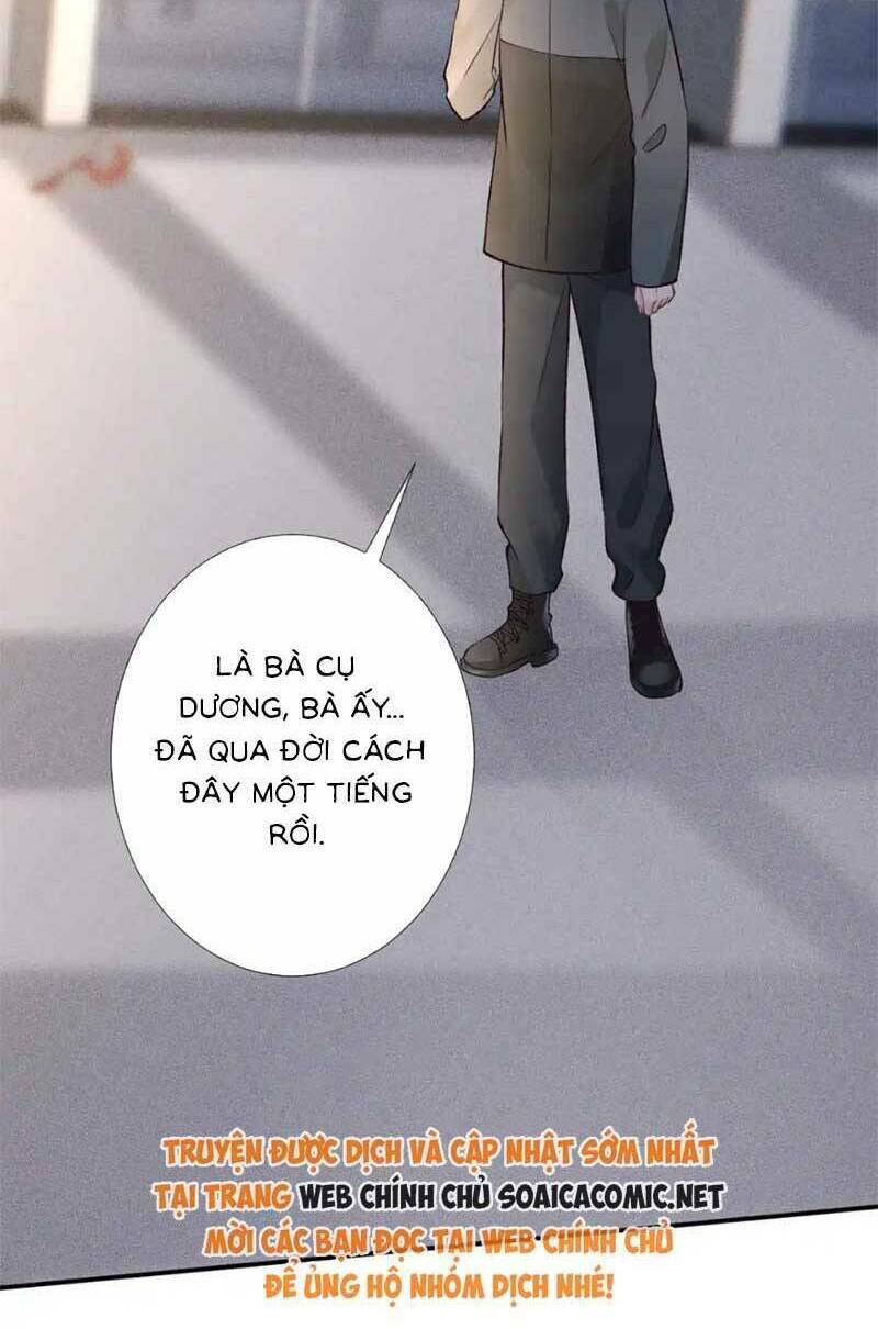 Ôm Khẩn Tiểu Mã Giáp Của Tôi Chapter 282 - Trang 2