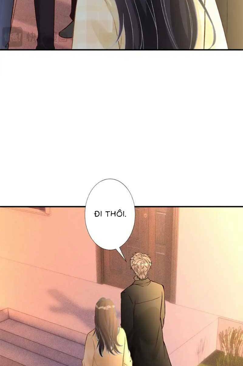 Ôm Khẩn Tiểu Mã Giáp Của Tôi Chapter 283 - Trang 2