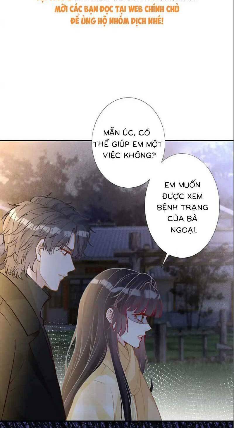 Ôm Khẩn Tiểu Mã Giáp Của Tôi Chapter 283 - Trang 2
