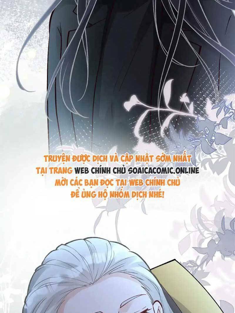 Ôm Khẩn Tiểu Mã Giáp Của Tôi Chapter 284 - Trang 2