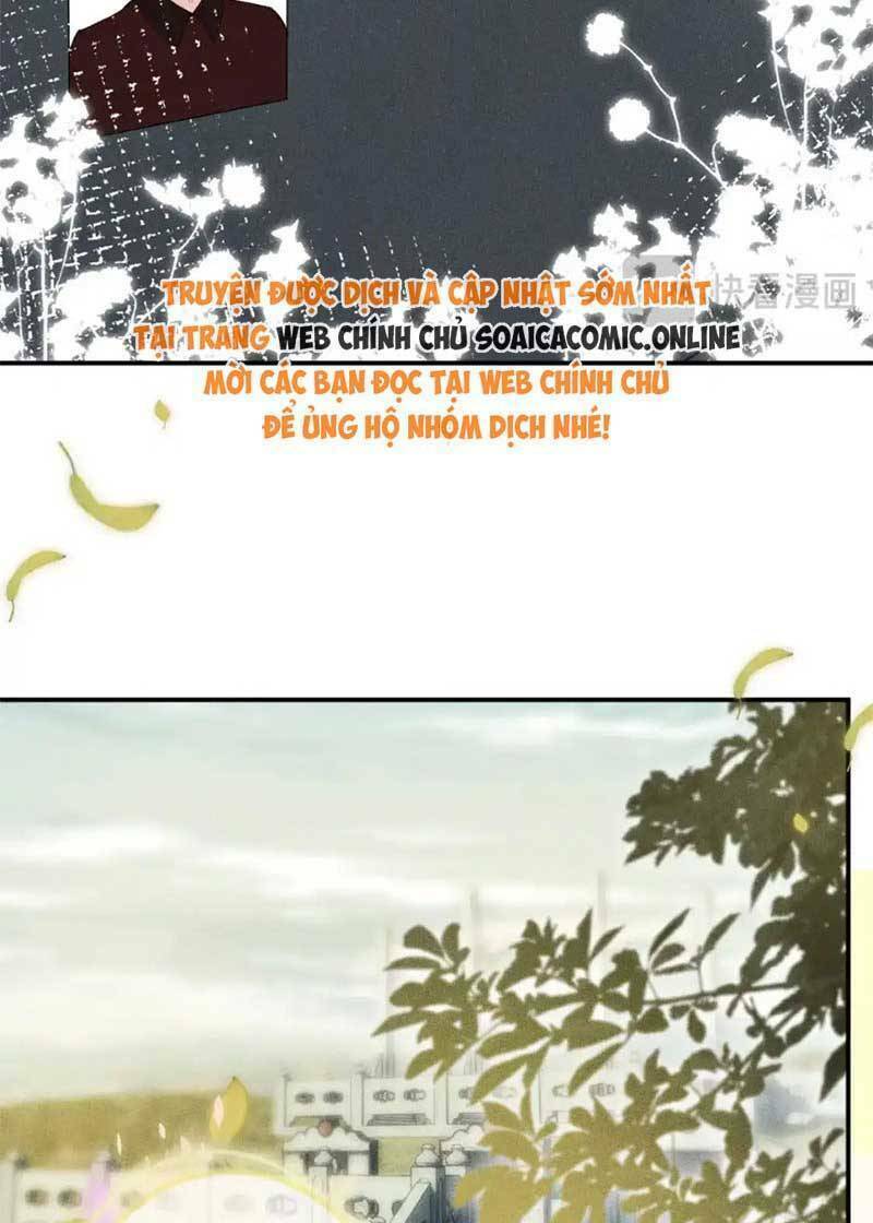 Ôm Khẩn Tiểu Mã Giáp Của Tôi Chapter 284 - Trang 2