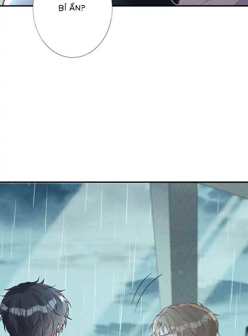 Ôm Khẩn Tiểu Mã Giáp Của Tôi Chapter 284 - Trang 2