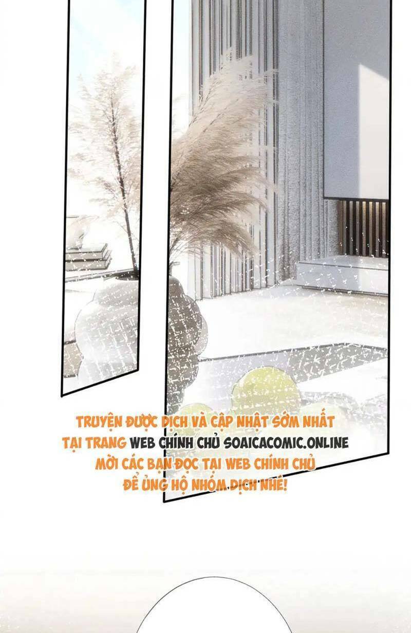 Ôm Khẩn Tiểu Mã Giáp Của Tôi Chapter 285 - Trang 2