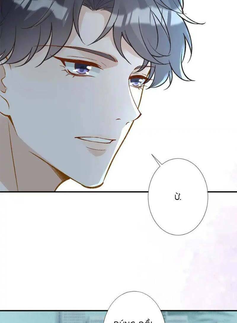 Ôm Khẩn Tiểu Mã Giáp Của Tôi Chapter 286 - Trang 2