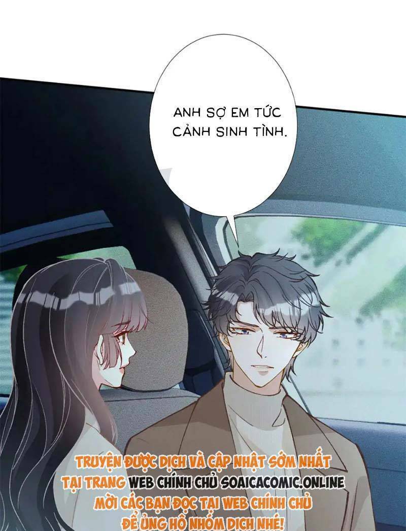 Ôm Khẩn Tiểu Mã Giáp Của Tôi Chapter 286 - Trang 2