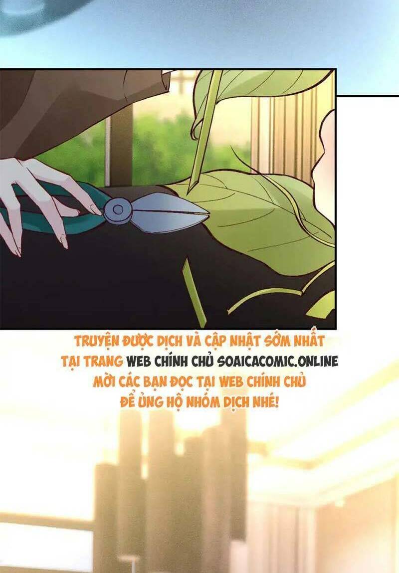 Ôm Khẩn Tiểu Mã Giáp Của Tôi Chapter 286 - Trang 2