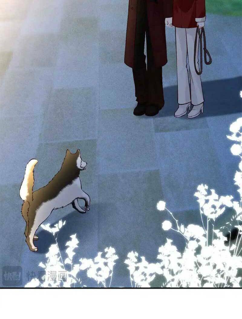 Ôm Khẩn Tiểu Mã Giáp Của Tôi Chapter 288 - Trang 2