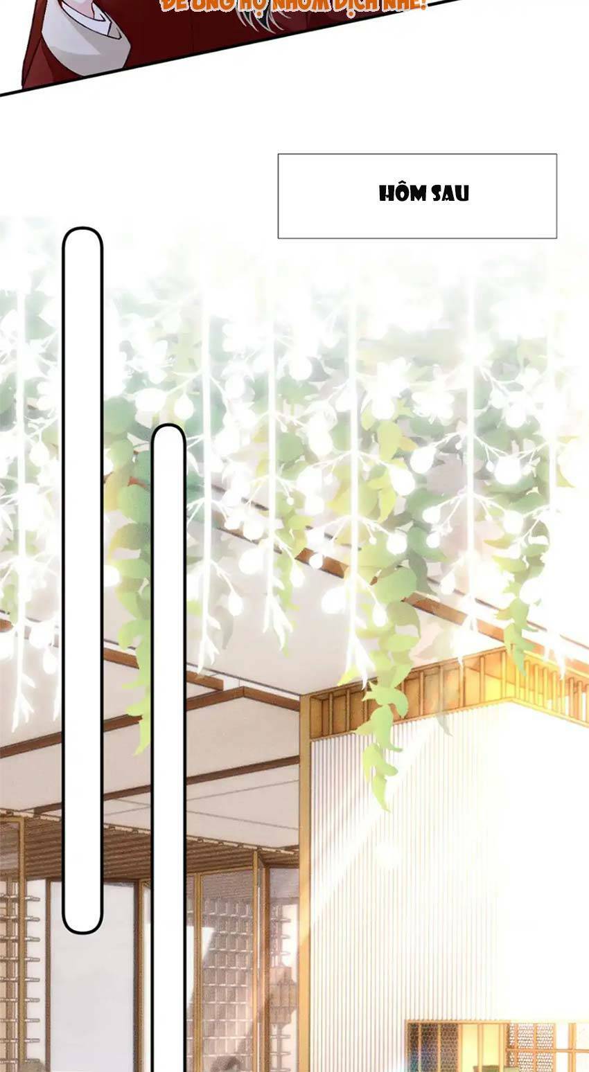 Ôm Khẩn Tiểu Mã Giáp Của Tôi Chapter 289 - Trang 2