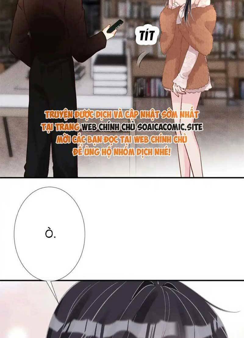 Ôm Khẩn Tiểu Mã Giáp Của Tôi Chapter 290 - Trang 2