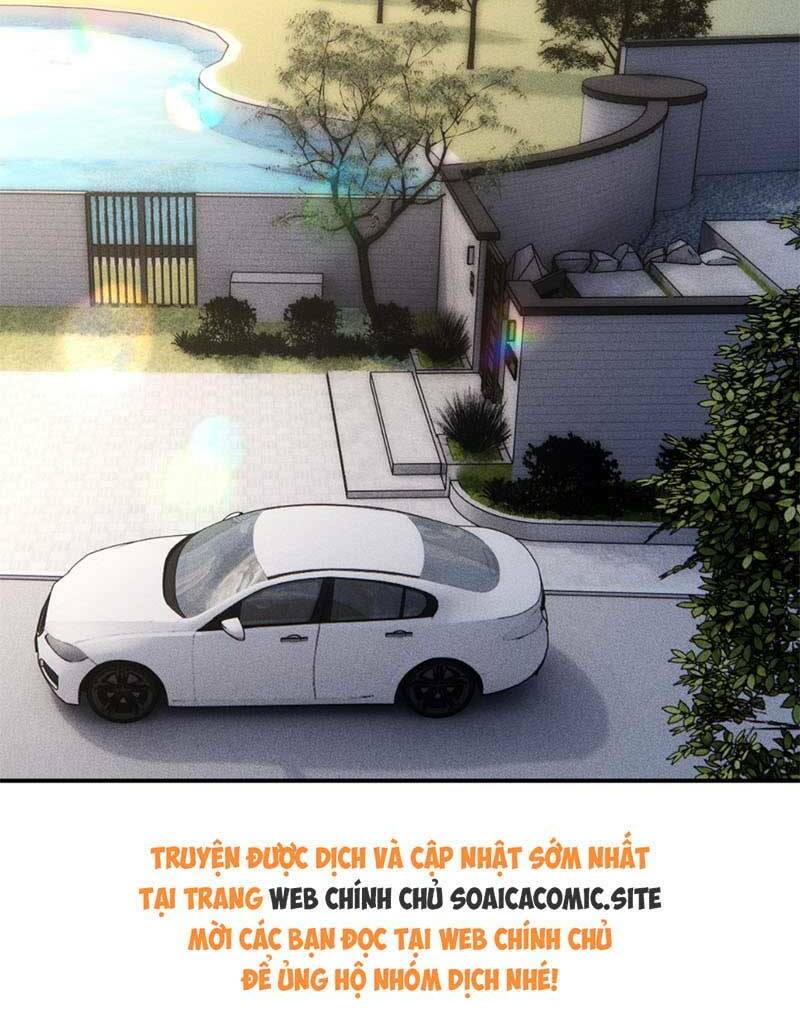 Ôm Khẩn Tiểu Mã Giáp Của Tôi Chapter 291 - Trang 2