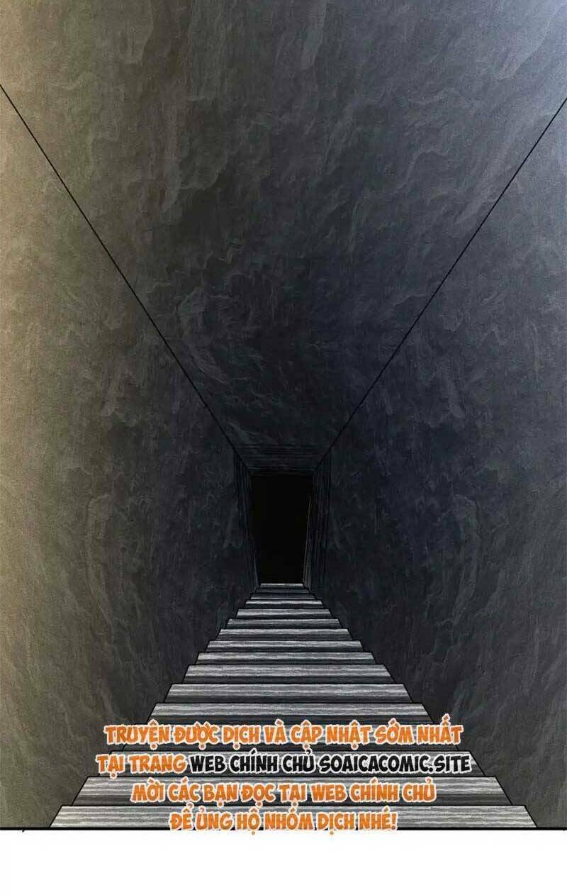 Ôm Khẩn Tiểu Mã Giáp Của Tôi Chapter 292 - Trang 2