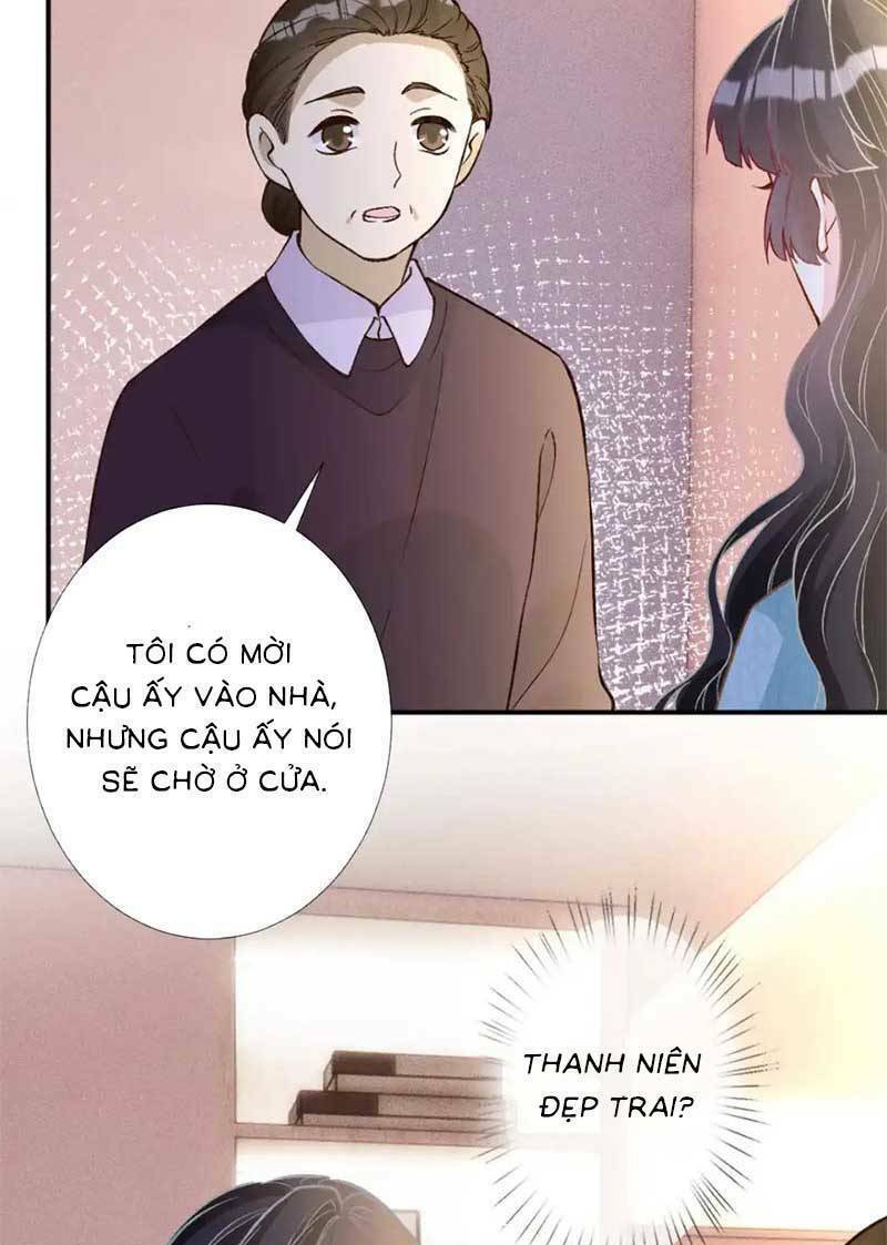 Ôm Khẩn Tiểu Mã Giáp Của Tôi Chapter 293 - Trang 2