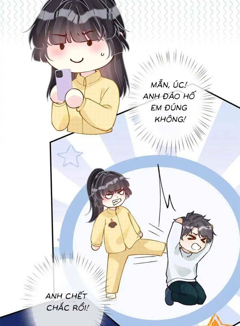 Ôm Khẩn Tiểu Mã Giáp Của Tôi Chapter 293 - Trang 2