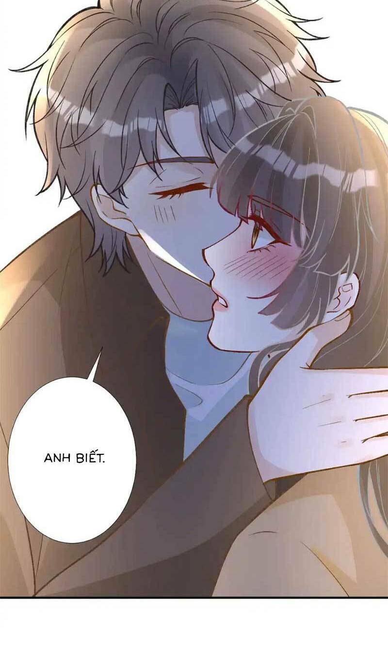 Ôm Khẩn Tiểu Mã Giáp Của Tôi Chapter 294 - Trang 2