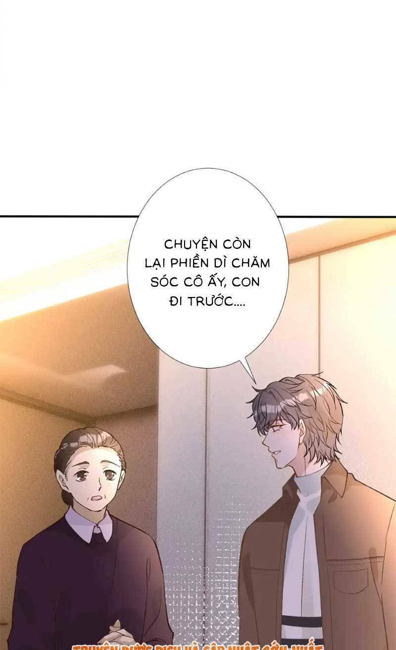 Ôm Khẩn Tiểu Mã Giáp Của Tôi Chapter 294 - Trang 2