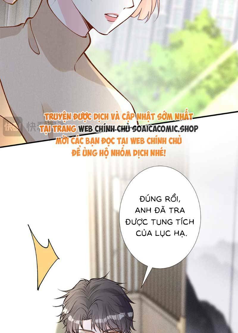 Ôm Khẩn Tiểu Mã Giáp Của Tôi Chapter 299 - Trang 2