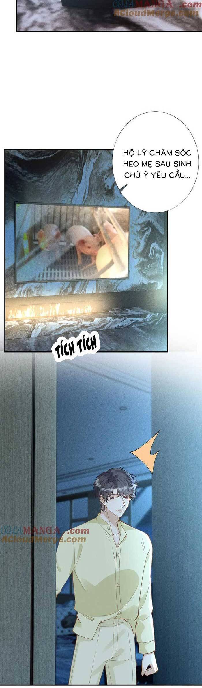 Ôm Khẩn Tiểu Mã Giáp Của Tôi Chapter 313 - Trang 2